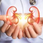 افزایش قابل توجه پاداش اهداکنندگان کلیه در زنجان