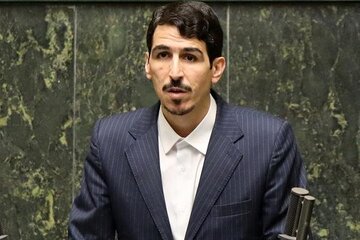 انتقاد یک نماینده از مصوبه بنزینی دولت/ این مصوبه ناعادلانه و خلاف قانون است