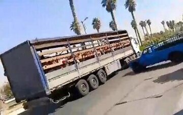 این مدیر مدرسه در جهرم از سمت خود برکنار شد/ ماجرا چیست؟