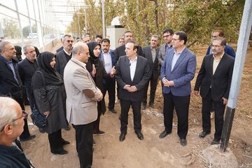 بازدید استاندار قزوین از واحدهای گلخانه‌ای، دامپروری و صنعتی استان