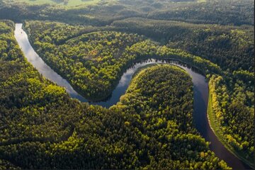 بزرگترین جنگل جهان کجاست؟