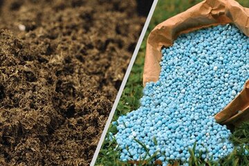 تأمین ۹۰ هزار تُن کود یارانه‌ای در کردستان