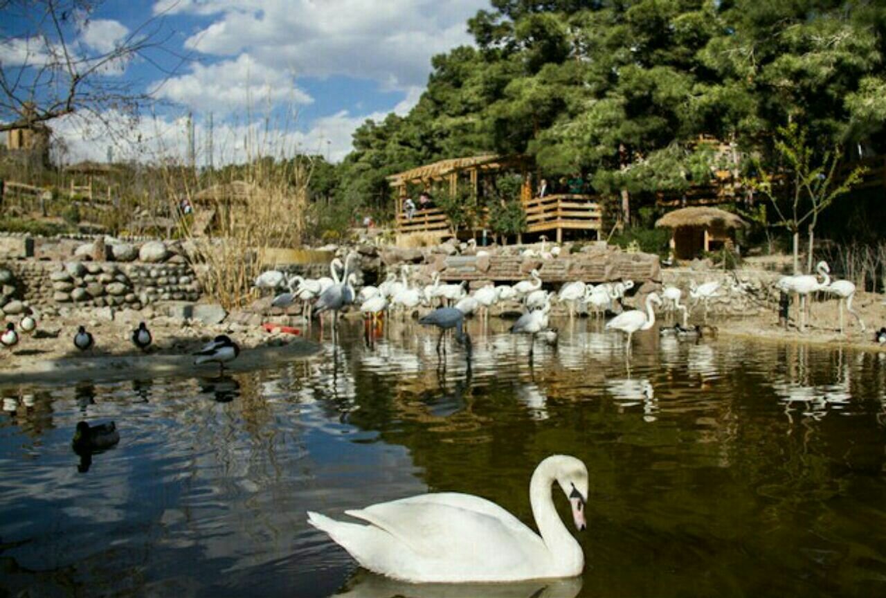 تماشای پاییز در پارک‌های تهران/ از لویزان تا پردیسان؛ معرفی ۵ بوستان جذاب برای تهرانگردی آخرهفته