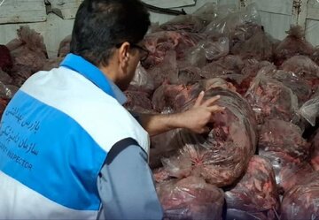 توقیف ۱۵۰۰ کیلوگرم گوشت مخلوط اسب و گاو در این شهر جنوبی