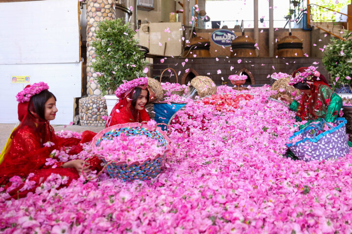 ثبت میراث در یونسکو به معنای «مالکیت» نیست/ ایران، رتبه چهارم جهان در ثبت میراث ناملموس/ پشت‌پرده ادعای عربستان برای مصادره «گل محمدی» چه بود؟