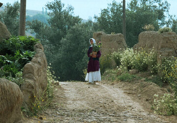 جشنواره جهانی فیلم فجر با نمایش فیلمی از عباس کیارستمی افتتاح می‌شود