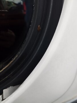 جولان سوسکها در قطار تهران-پرند