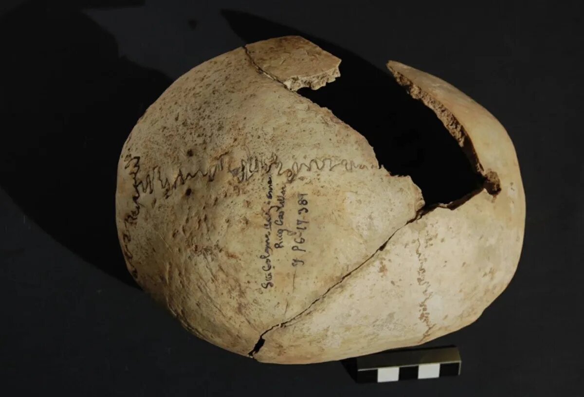 حل معمای جمجمه‌های میخ‌کوب‌شده در اسپانیا