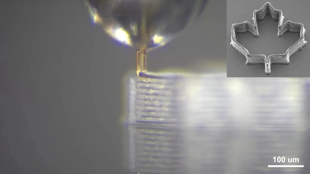 خاصیت شگفت‌انگیز نیش پشه / انقلابی در پرینت سه‌بعدی