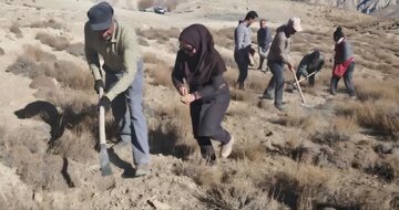 در پاییز سال جاری،
پویش کویر سبز در سطح ۱۰۰۰ هکتار  شهرستان شاهرود