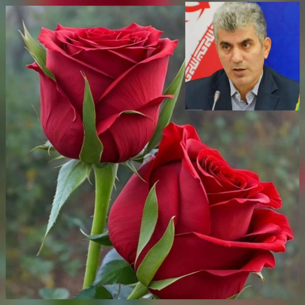 رئیس سازمان جهاد کشاورزی گیلان خبر داد: