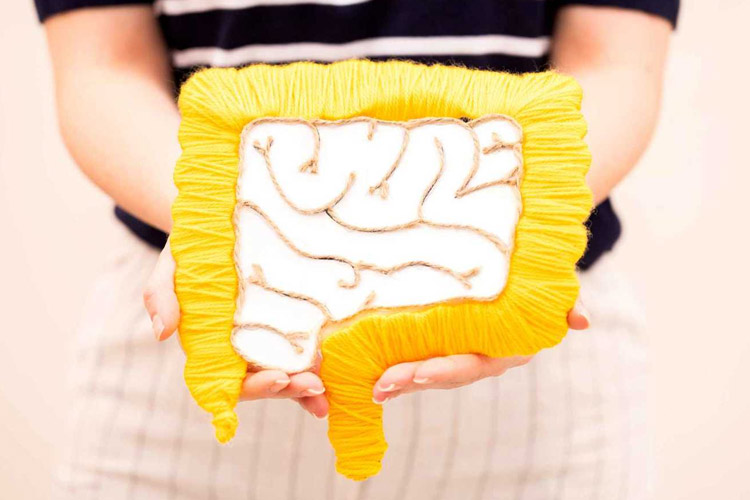 روده شما با شما سخن می‌گوید: درک سیگنال‌های حیاتی سیستم گوارش برای سلامت کلی