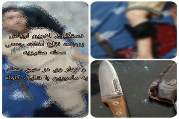 زمین‌گیر شدن شرور سابقه‌دار مشیریه