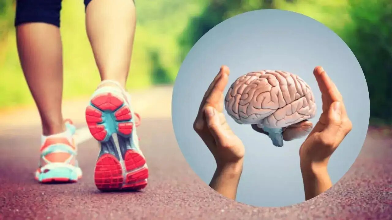 ساده‌ترین قدم برای تقویت مغز و حافظه/ پادزهری طبیعی برای پیشگیری از پیری و آلزایمر