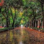 شهرداری اصفهان فکری به حال حفاظت از محور تاریخی «چهارباغ» کند