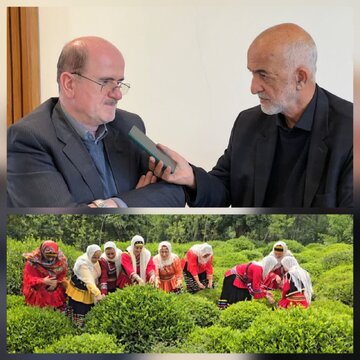 لاهوتی نماینده لنگرود:
هدف از اصلاح قیمت بنزین درآمدزایی نیست | سازمان چای نباید منحل شود