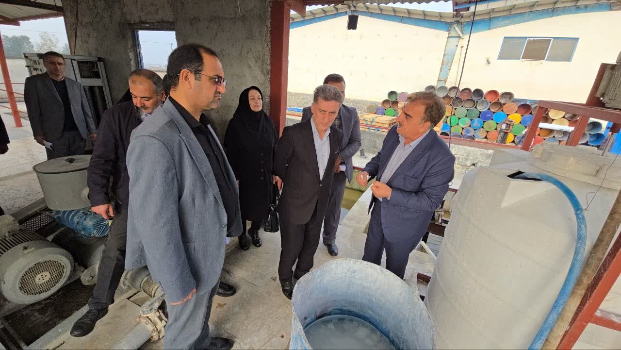 مدیرعامل شرکت کشت و صنعت گلدشت افشره : مدیرعامل شرکت کشت و صنعت گلدشت افشره :