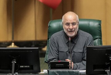 نمایندگان قالیباف را عاصی کردند؛ نمی دانم با چه ادبیاتی بگویم/ خواهش می کنم!