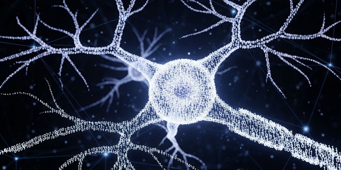 نورون‌های مصنوعی واقعی: انقلاب در ساخت تراشه‌هایی شبیه مغز انسان