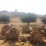 هالو زال : پیامبر سپیدموی ایل بختیاری که قتل عامی را پیشبینی کرد. پیشگویی که به فاجعه قتل نامدارخان و یارانش انجامید