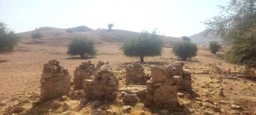 هالو زال : پیامبر سپیدموی ایل بختیاری که قتل عامی را پیشبینی کرد. پیشگویی که به فاجعه قتل نامدارخان و یارانش انجامید