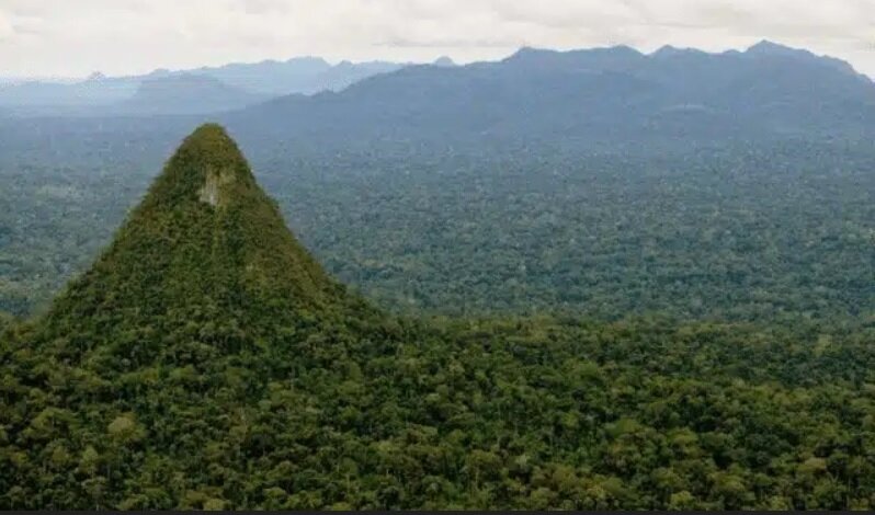 هرم عظیم باستانی در دل جنگل‌های آمازون / آیا اینجا مقبره تمدنی فراموش‌شده است؟