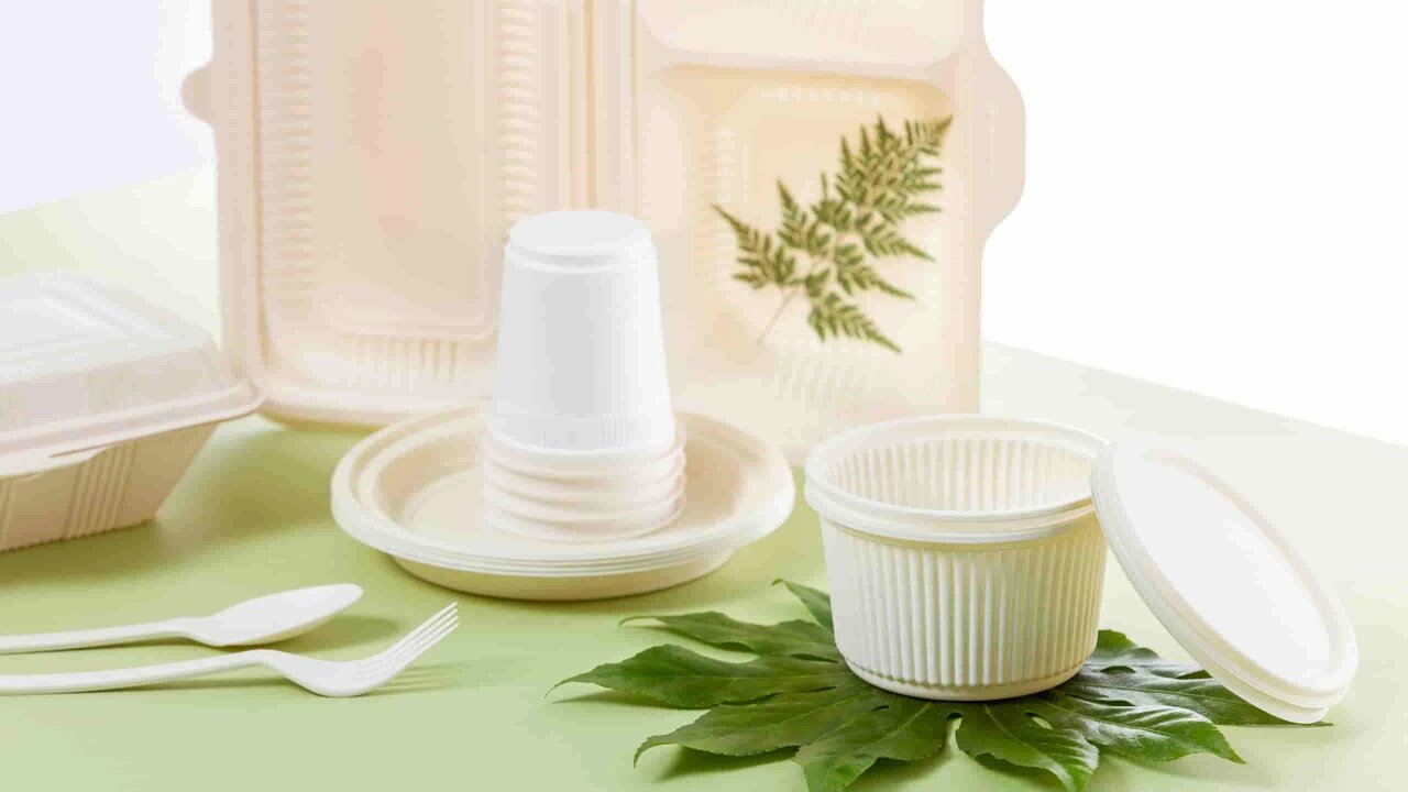 هشدار در مورد ظروف ماست و پنیر/ ظروفی که هرچه نازکتر باشند، ناایمن‌ترند/ مراقب لایه «بیوفیلم» باشید