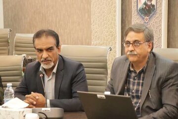 هشدار مدیرکل بهزیستی کرمان درباره بالا بودن آمار خودکشی در استان