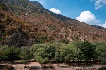 هیرکانی انبار باروت است؛ طبیعت گردی در مازندران تا اطلاع بعدی ممنوع شد