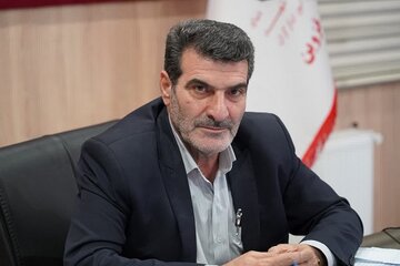 پرداخت وام اشتغال باید همراه با مشاوره کارشناسی باشد