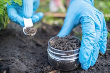 کشف آنتیبیوتیکی قدرتمند که مقاومترین باکتریها را نابود میکند