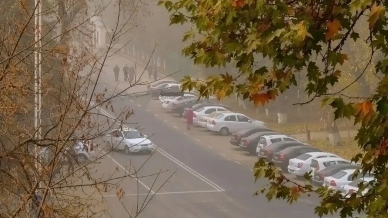 کلان‌شهرهای سمی؛ تهران و ۹ شهر دیگر/ نقشه جهانی آلودگی و عوامل تشدیدکننده آن