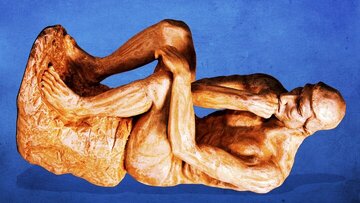 گاوهایی که گورخر شدند / یک ابتکار ژاپنی