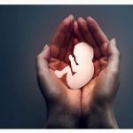 آمار سقط جنین در کشور ۳۰ برابر تلفات تصادف!