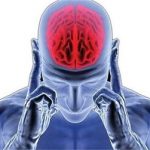 آیا ما فقط از ۱۰ درصد توان مغز خود استفاده میکنیم؟