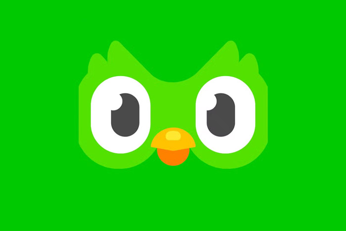 از ردیت تا اسپاتیفای؛ اپلیکیشنهایی که در سال ۲۰۲۵ کاربران را ناامید کردند