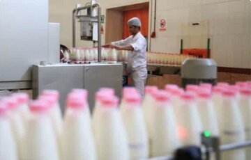 با متخلفان بازار لبنیات قاطعانه برخورد میکنیم