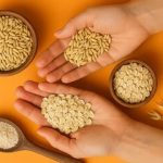 برنج دوست دارید؟ این‌بار جو را امتحان کنید!