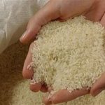 برنج دولتی به بازار زنجان آمد