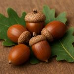 برگزاری جشنواره بلوط در لردگان؛ احیای هویت غذایی و معرفی ظرفیت‌های گردشگری