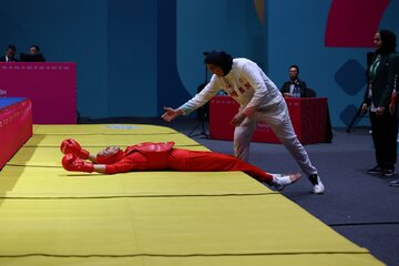 برگزاری جلسه کمیته انضباطی فدراسیون ووشو با حضور خاطیان