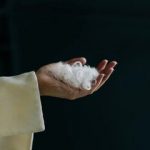 تبدیل پر مرغ به پارچه نفیس کشمیر