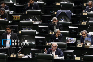 تصویب یک لایحه مالی دولت/ لایحه الزامات و احکام مورد نیاز قوانین بودجه‌های سنواتی چه می‌گوید؟