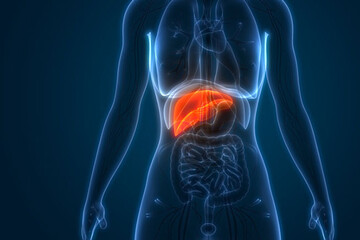 تضمین سلامت کبد با مصرف این ویتامینها