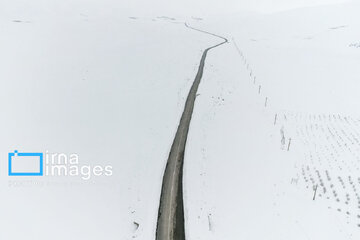 ثبت رکورد جدید بارش در شهرستان بن