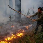 جزئیات جدید از آتش‌سوزی جنگل‌های الیت/ مساحت سوختگی چقدر بود؟