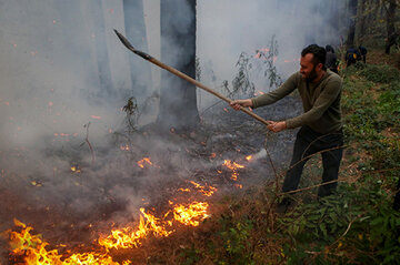 جزئیات جدید از آتشسوزی جنگلهای الیت/ مساحت سوختگی چقدر بود؟