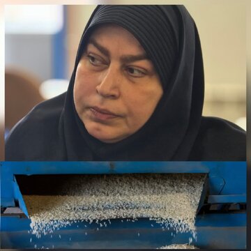 حسینی:
ارقام جدید برنج کشور سازگار با تغییرات اقلیمی است