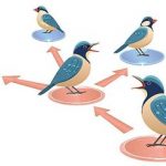 حیوانات هم فیک نیوز منتشر میکنند / کشف راز اطلاعات غلط در طبیعت