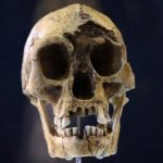 خشکسالی، گرسنگی و مواجهه با انسان خردمند، آخرین فصل زندگی هابیتها را رقم زد